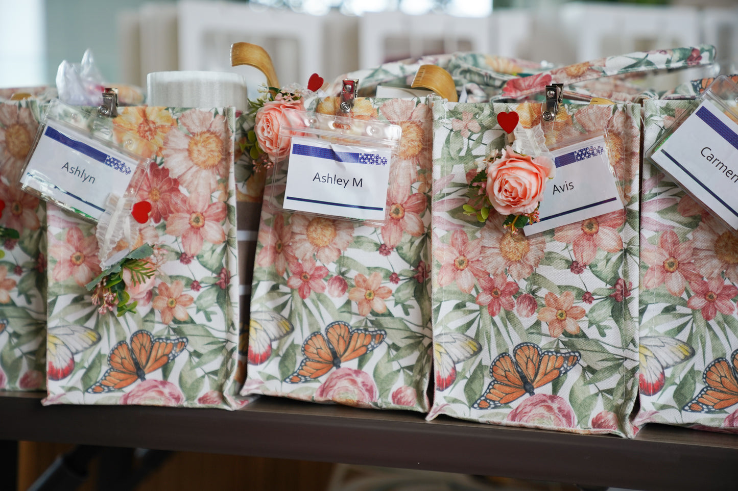 BARI BEAUTY SWAG BAG